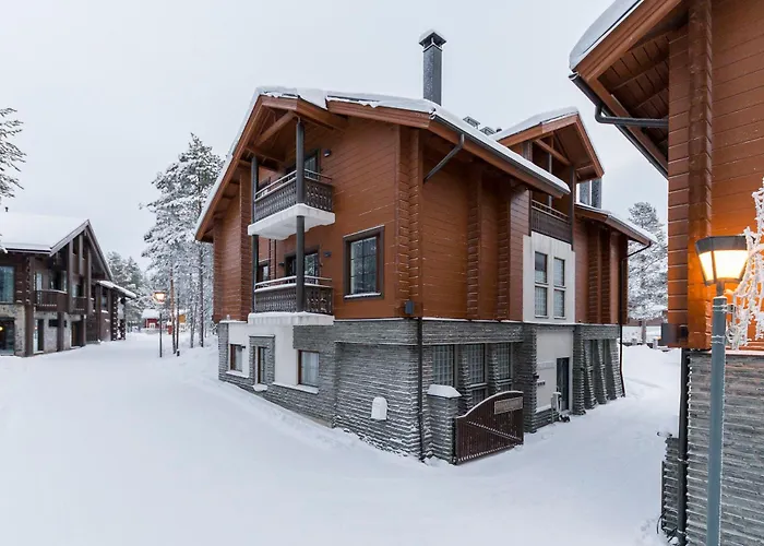 Isokarhu 3 Visit * 列维