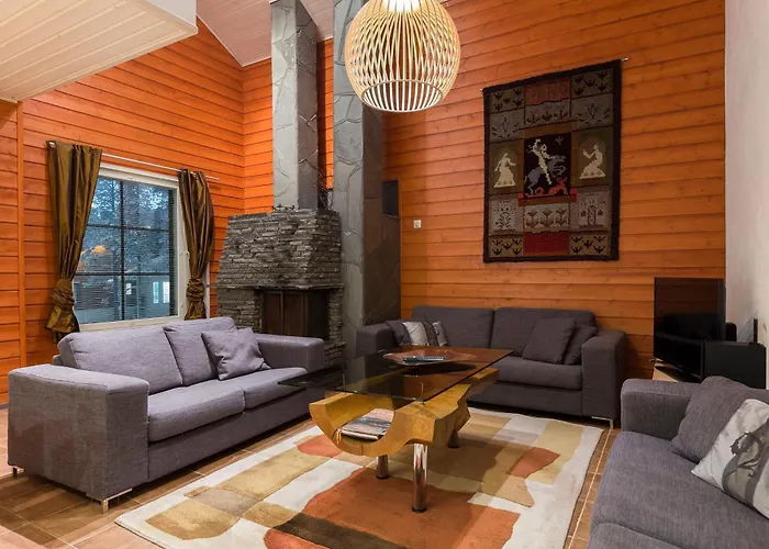 Isokarhu 3 Visit 列维